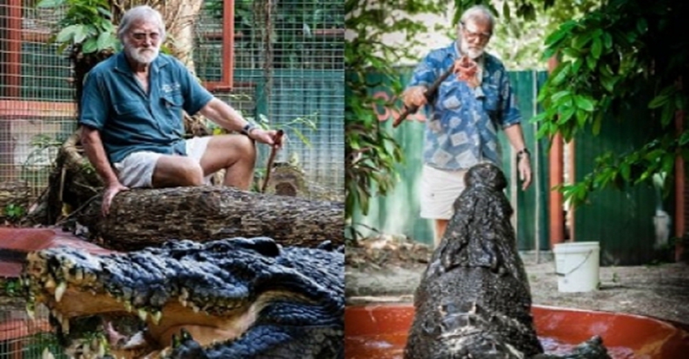 80歲老人捕捉世界最大鱷魚餵養30年，110歲鱷魚仍未放棄吃掉他
