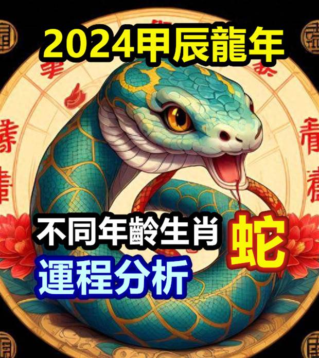 不同年齡生肖蛇2024甲辰龍年運程分析