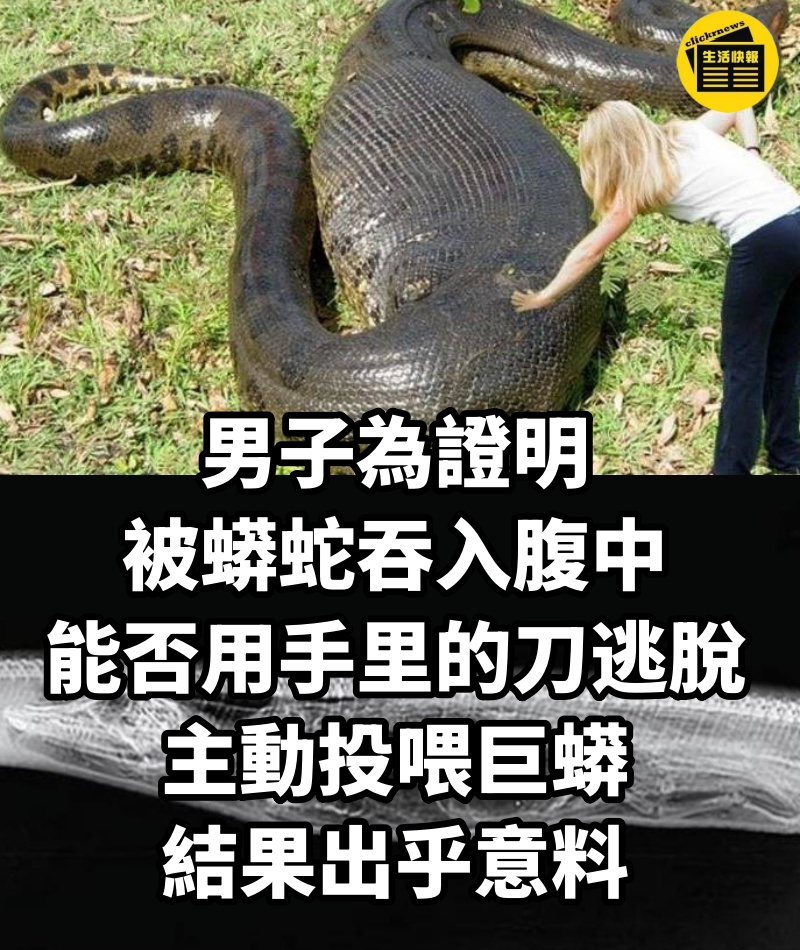 男子為證明被蟒蛇吞入腹中，能否用手里的刀逃脫，主動投喂巨蟒，結果出乎意料