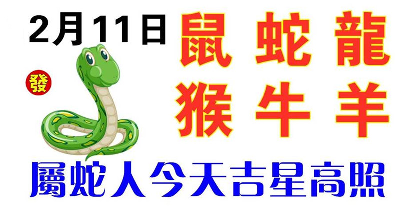 2月11日生肖運勢_鼠、蛇、龍大吉