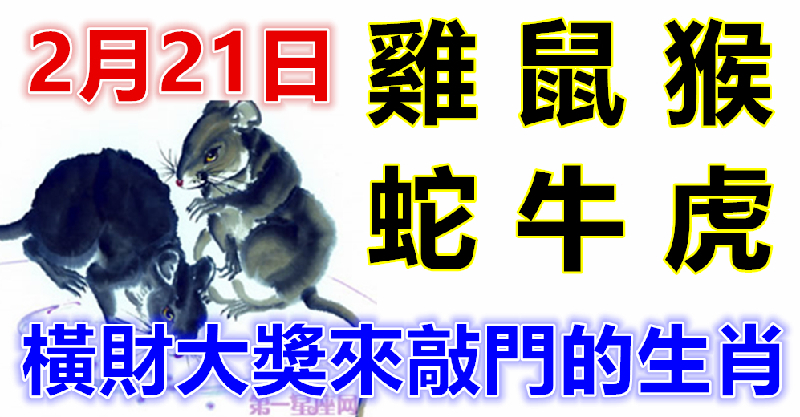 2月21日生肖運勢_雞、鼠、猴大吉