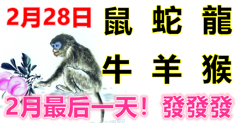 2月28日生肖運勢_鼠、蛇、龍大吉